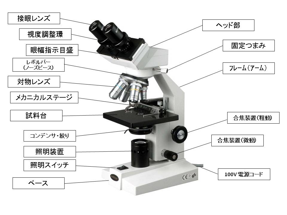 生物顕微鏡の各部の名称・名前 • 顕微鏡販売・顕微鏡専門店【誠報堂 ...