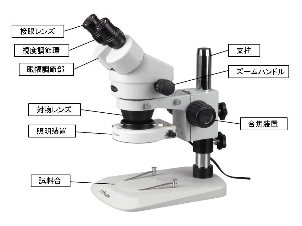 実体顕微鏡の各部の説明 - 顕微鏡販売・顕微鏡専門店【誠報堂科学館】