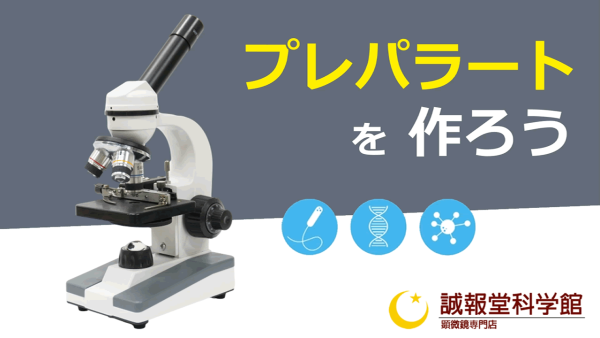 3. プレパラートを作ろう