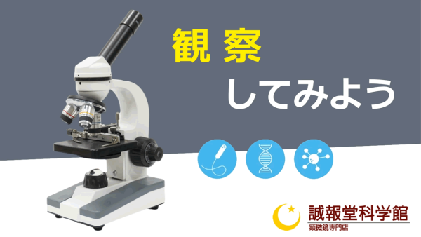 4. 観察してみよう