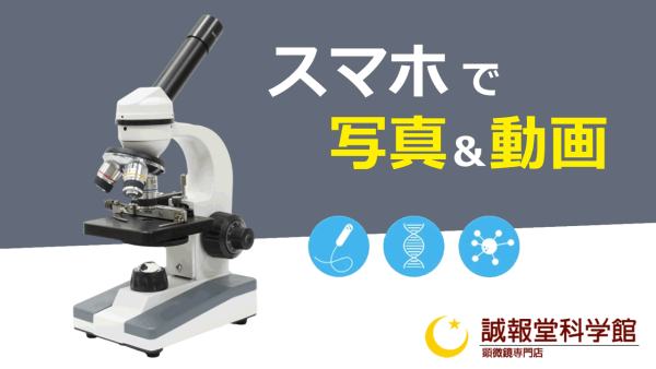 5. スマホで写真&動画