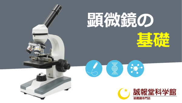 1. 顕微鏡の基礎