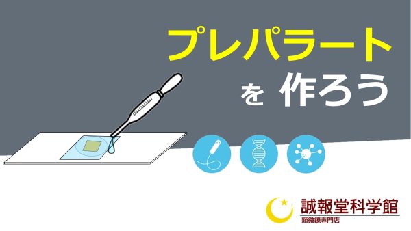 【M70】3-プレパラートを作ろう