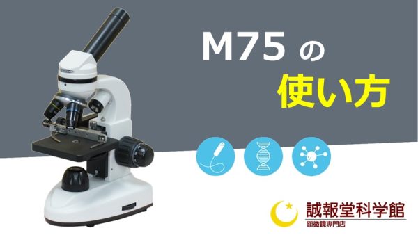 2. M75顕微鏡の使い方