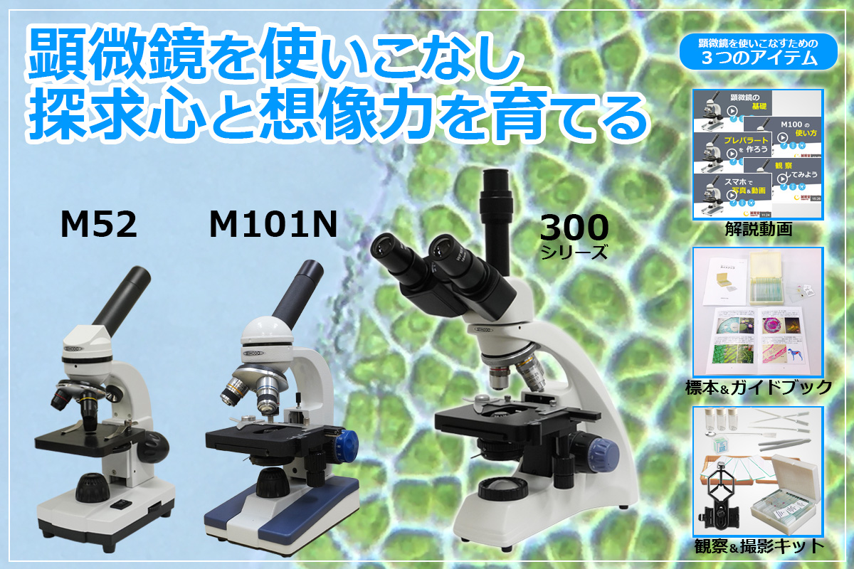 トップ画像(2)-202511