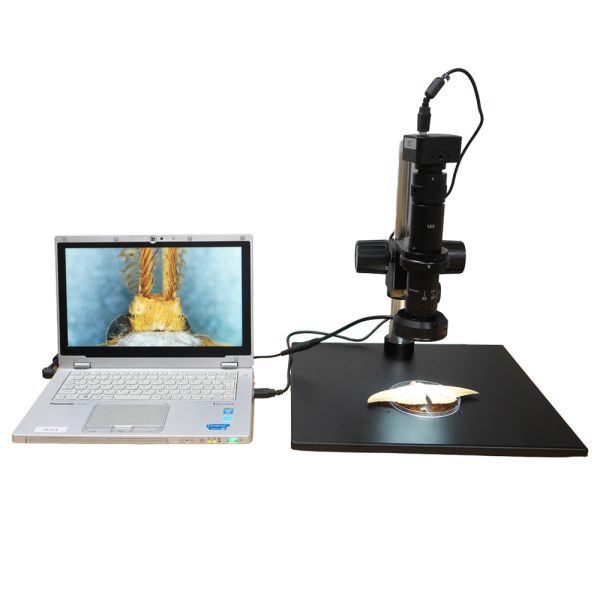 【SZS0650】単眼ズームデジタル顕微鏡／パラレル光学系／1x-Cマウント／LEDリングライト／標準スタンド／4Kカメラ